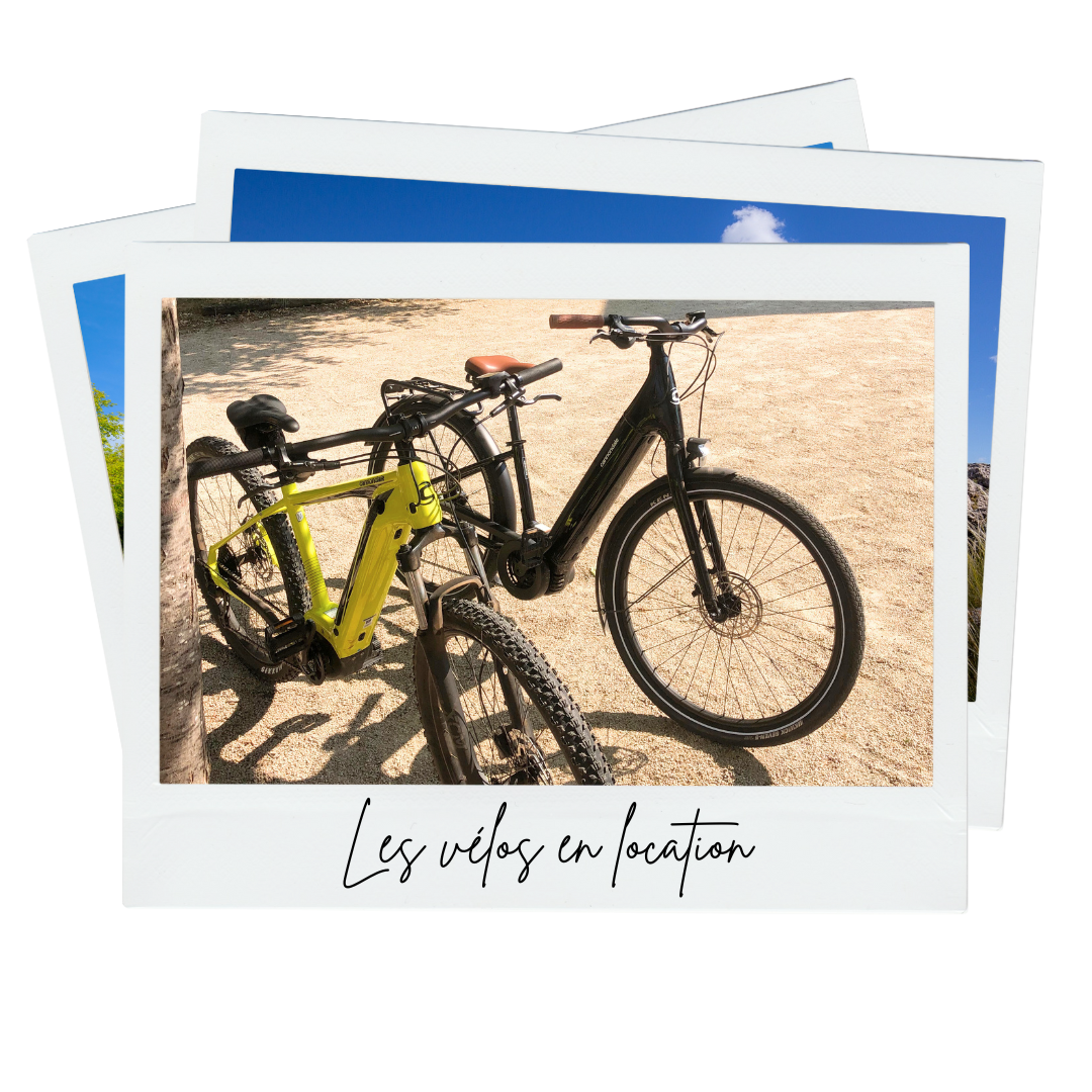 Les vélos en location en Lozère Les vélos à la location dans les Gorges du Tarn et sur les Grands Causses