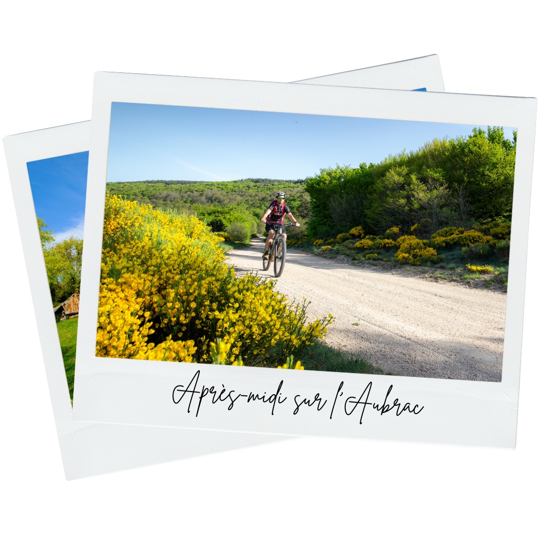 Randonnée VTT sur l'Aubrac un après-midi ensoleillé